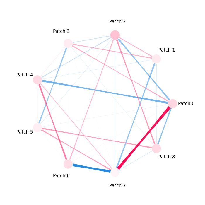 plot vision transformer
