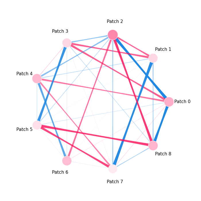 plot vision transformer